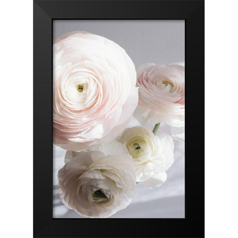 Soft Ranunculus Black Modern Wood Framed Art Print by uplusmestudio