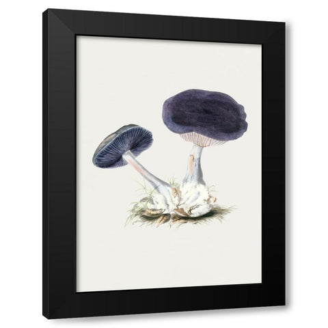Vintage Violet Webcap Mushroom Black Modern Wood Framed Art Print by Pictufy