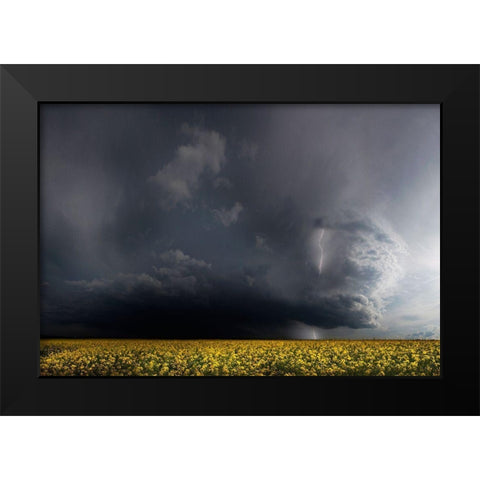 Gewitterfront Black Modern Wood Framed Art Print by Schumacher, Nicolas