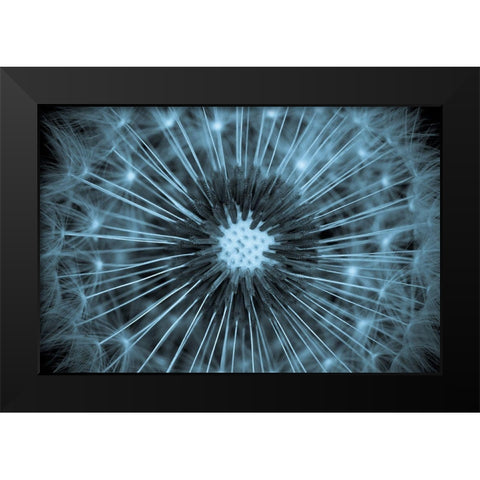 (O) Black Modern Wood Framed Art Print by Legraverend, Guillaume