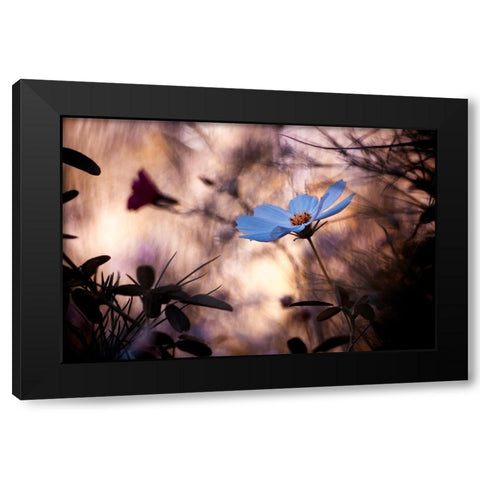 Lindiffacrence Black Modern Wood Framed Art Print with Double Matting by Bravin, Fabien