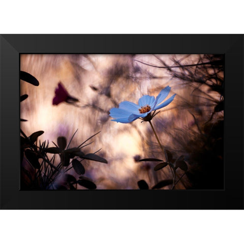Lindiffacrence Black Modern Wood Framed Art Print by Bravin, Fabien