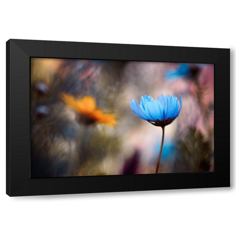 Do You Wanna Dance With Me Black Modern Wood Framed Art Print with Double Matting by Bravin, Fabien