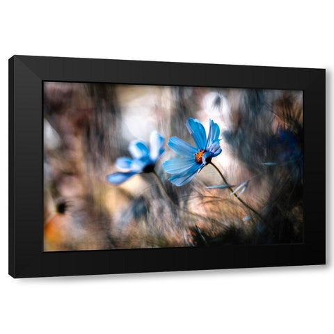 The Two Of Us Black Modern Wood Framed Art Print with Double Matting by Bravin, Fabien