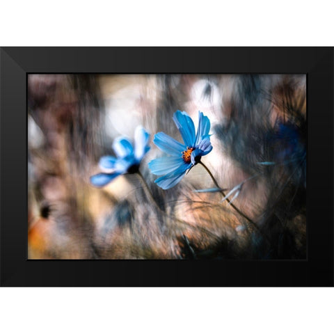 The Two Of Us Black Modern Wood Framed Art Print by Bravin, Fabien