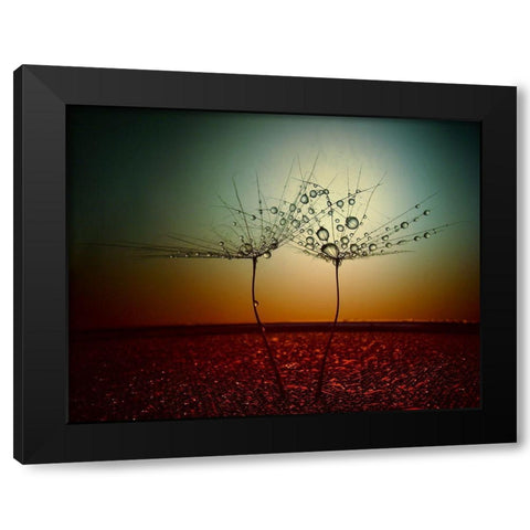 Fire And Water Black Modern Wood Framed Art Print by Lazarov, Dimitar