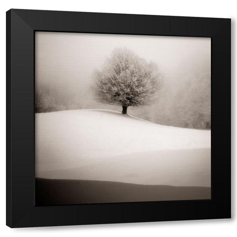 Winter Degradee Black Modern Wood Framed Art Print with Double Matting by SC