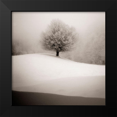 Winter Degradee Black Modern Wood Framed Art Print by SC