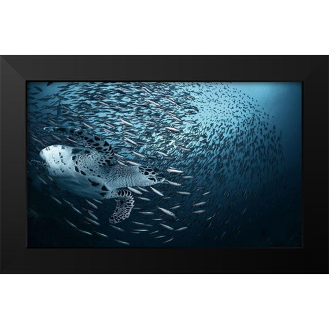 Bend Black Modern Wood Framed Art Print by Narchuk, Andrey