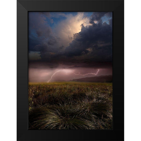 Summer Lights Black Modern Wood Framed Art Print by Schumacher, Nicolas