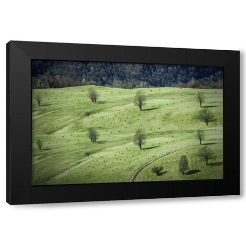 Sheeps ... Black Modern Wood Framed Art Print by Cseresnjes, Anna