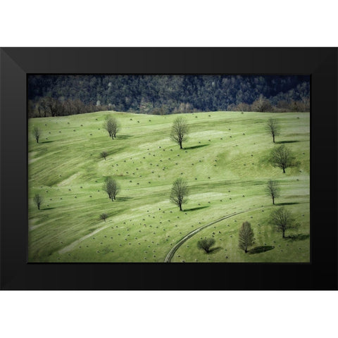 Sheeps ... Black Modern Wood Framed Art Print by Cseresnjes, Anna