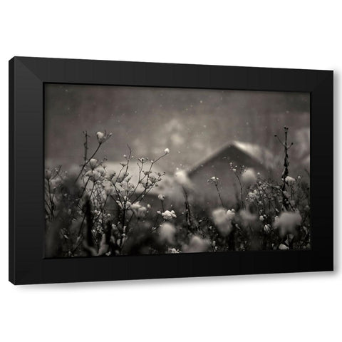 Winter Story Black Modern Wood Framed Art Print with Double Matting by PhotoCosma