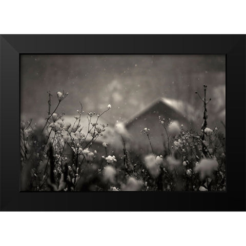 Winter Story Black Modern Wood Framed Art Print by PhotoCosma