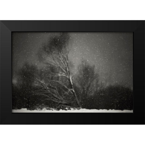 Winter Black Modern Wood Framed Art Print by PhotoCosma