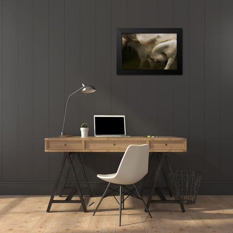 Flasing Of My Dream Black Modern Wood Framed Art Print by Malovrh, Milan