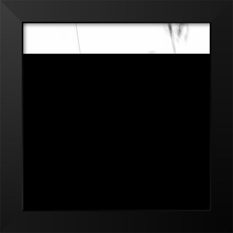 Slalom Black Modern Wood Framed Art Print by Cheli, Ivano