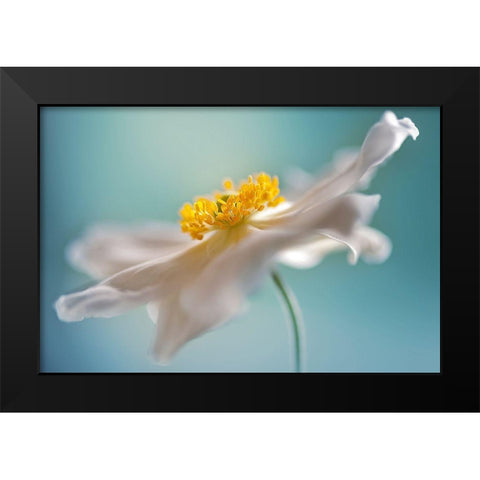 Autumn Reverie Black Modern Wood Framed Art Print by Parker, Jacky