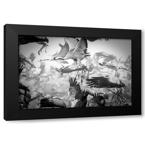 Chaos Black Modern Wood Framed Art Print with Double Matting by Meirovich, Ido