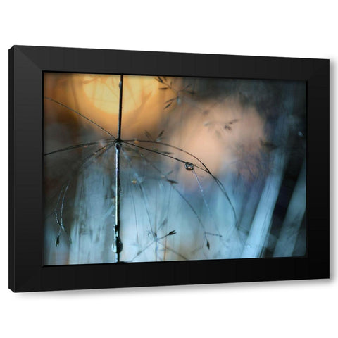 Almost Dark Black Modern Wood Framed Art Print by Westum, Heidi