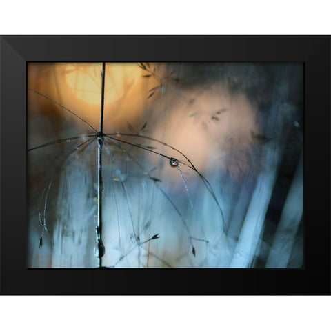 Almost Dark Black Modern Wood Framed Art Print by Westum, Heidi