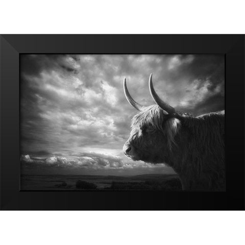 The Highlands Black Modern Wood Framed Art Print by Droste, Holger