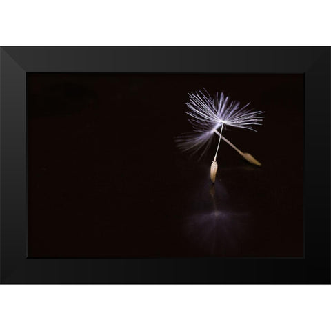 Ballet Black Modern Wood Framed Art Print by Soide55