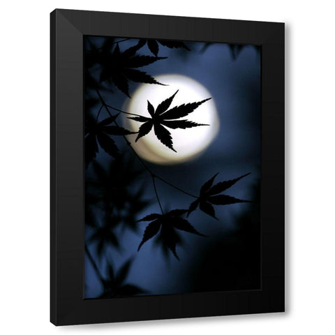 Color Of Japan Black Modern Wood Framed Art Print by Tomihisa, Kouji