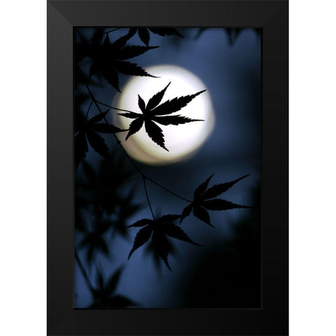 Color Of Japan Black Modern Wood Framed Art Print by Tomihisa, Kouji