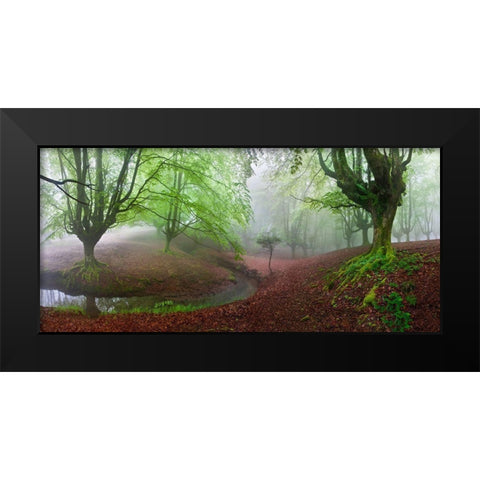 The Forest Maravillador Iii Black Modern Wood Framed Art Print by Pixelecta, Juan