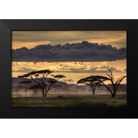 Good Evening Tanazania Black Modern Wood Framed Art Print by Eichelberg, Amnon