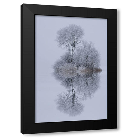 Winter Stillness Black Modern Wood Framed Art Print with Double Matting by Maier, Norbert