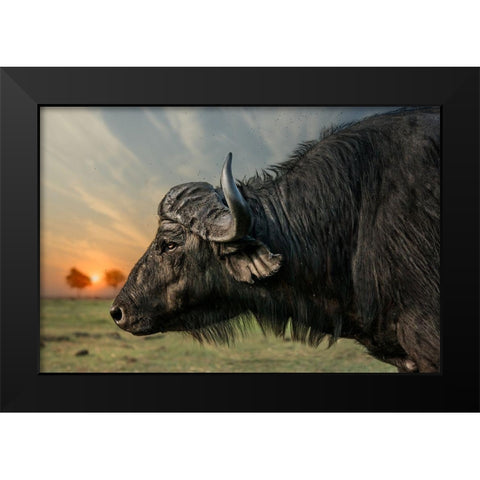 Imagine Black Modern Wood Framed Art Print by Flour, Piet