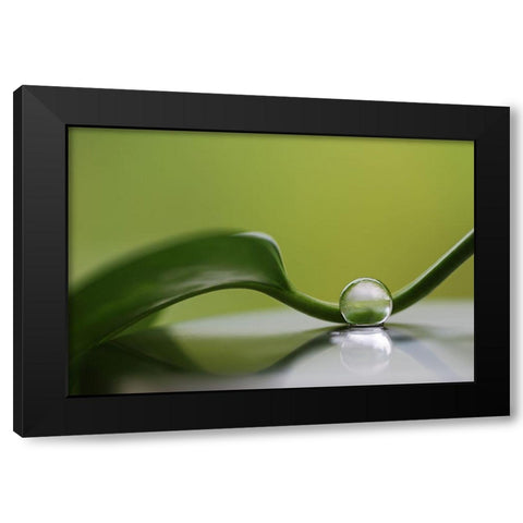 Green Harmony Black Modern Wood Framed Art Print with Double Matting by Westum, Heidi