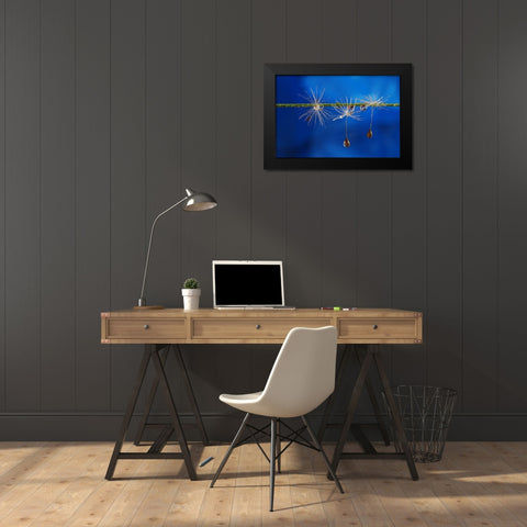 Blue Drops Of Life Black Modern Wood Framed Art Print by Westum, Heidi