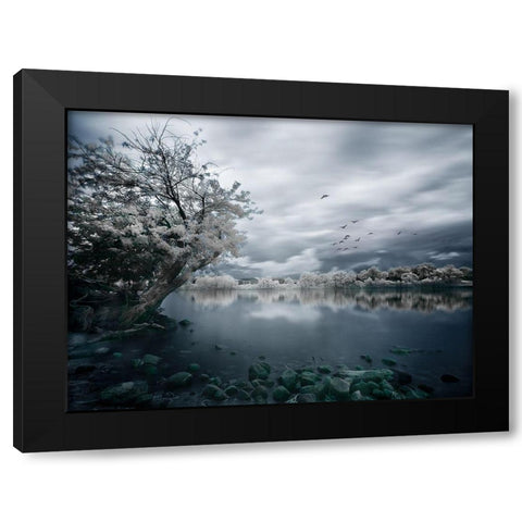 Migration Black Modern Wood Framed Art Print with Double Matting by David Senechal Photographie