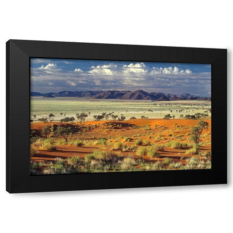 Tok Tokkie Desert Black Modern Wood Framed Art Print with Double Matting by Pelissier, Marc
