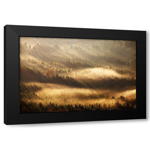 Autumn Rays Black Modern Wood Framed Art Print by Rak, Martin
