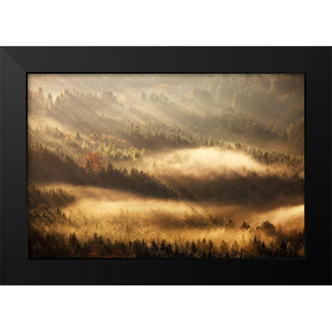 Autumn Rays Black Modern Wood Framed Art Print by Rak, Martin