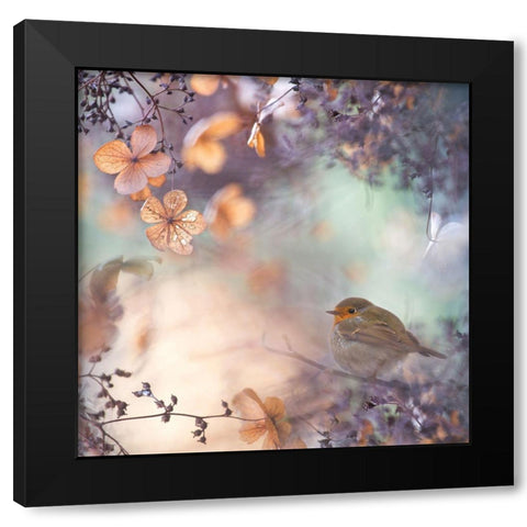 Hydrangea Fantasy Black Modern Wood Framed Art Print with Double Matting by Teuni