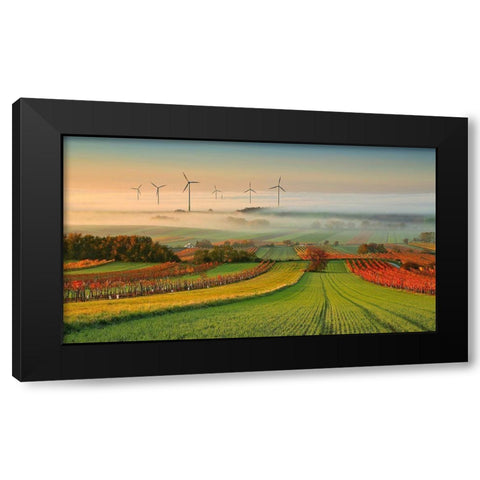 Autumn Atmosphere In Vineyards Black Modern Wood Framed Art Print with Double Matting by Kovac, Matej
