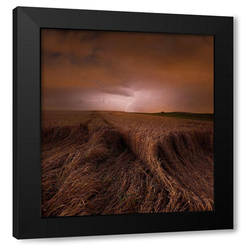 Morning Storm Black Modern Wood Framed Art Print by Schumacher, Nicolas