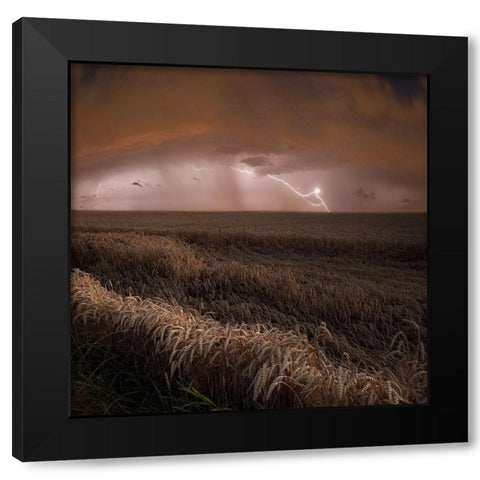 Harvest Lights Black Modern Wood Framed Art Print by Schumacher, Nicolas