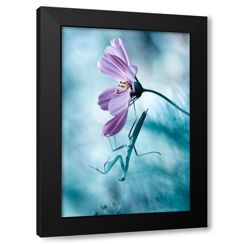 Newtonian Physics Black Modern Wood Framed Art Print by Bravin, Fabien