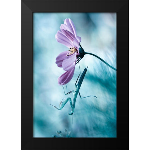 Newtonian Physics Black Modern Wood Framed Art Print by Bravin, Fabien