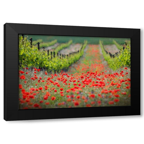 Red District Black Modern Wood Framed Art Print by Komovec, Ales