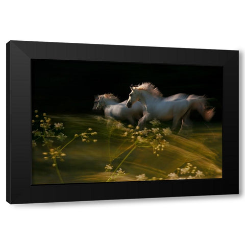 Duel Black Modern Wood Framed Art Print with Double Matting by Malovrh, Milan