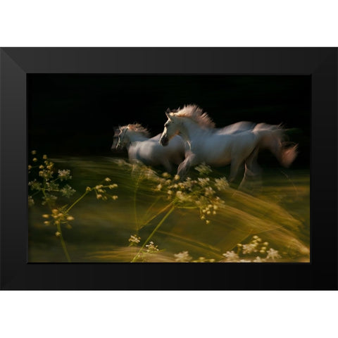 Duel Black Modern Wood Framed Art Print by Malovrh, Milan