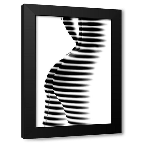 Zebra Black Modern Wood Framed Art Print with Double Matting by P., Mato