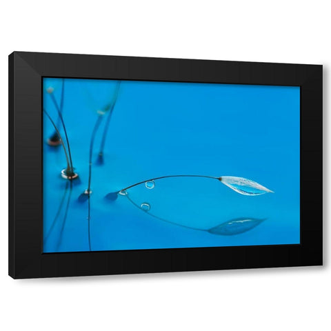 Blue Water Black Modern Wood Framed Art Print with Double Matting by Westum, Heidi